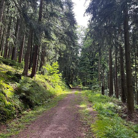 Gaestehaus Im Erzgebirge Zwönitz Eksteriør bilde