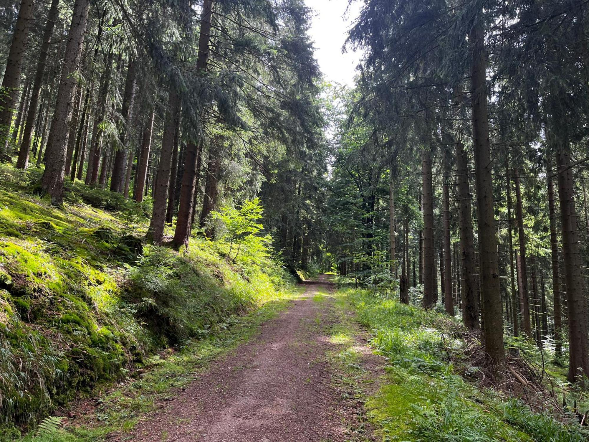 Gaestehaus Im Erzgebirge Zwönitz Eksteriør bilde